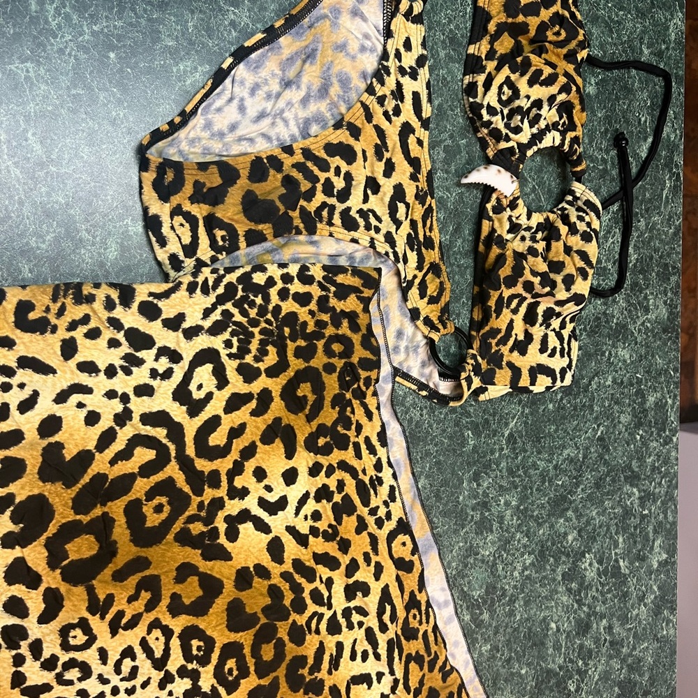 Leopard Print Bikini Set - Picture 2 of 16
